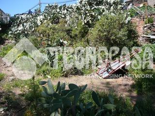 Finca rstica en Vega de San Mateo. Terrenos en venta en vega de san mateo