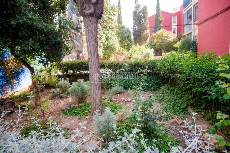 Foto 2efbd280-93ec-4253-b919-43133e4f150f. Appartamento in Casería de Montijo Granada