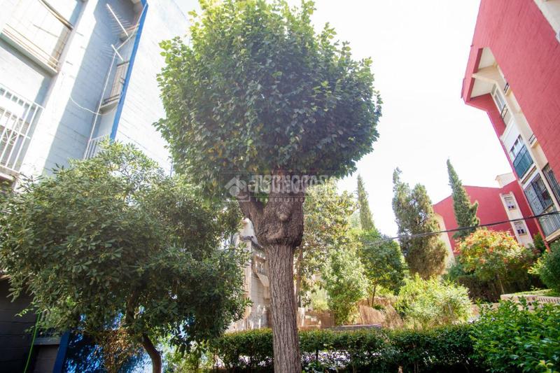 Foto 90f1ccff-a685-46c7-8d88-49f9aef563dd. Appartamento in Casería de Montijo Granada