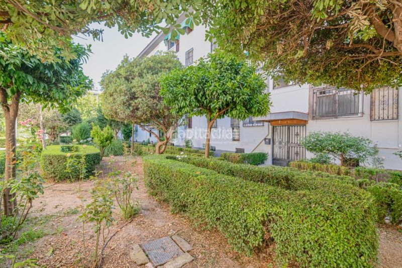 Foto 00ae62d4-7670-4ea1-8b3d-b32e877b3182. Pis a Campo Verde Granada