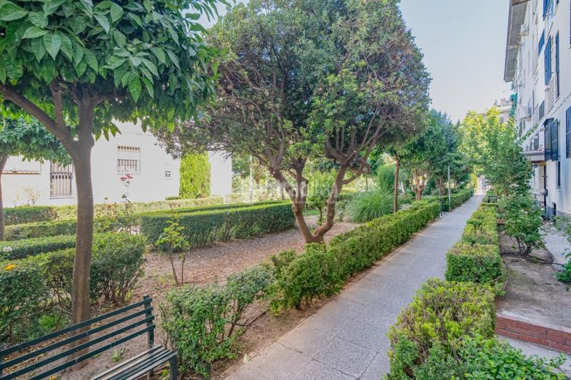 Foto a7a2ca1a-2534-403c-a777-dddd5f20c164. Pis a Campo Verde Granada