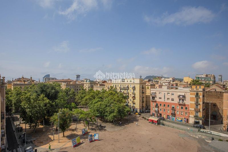 Foto 1663d111-8fc3-4170-b7c9-eee8415d3d20. Pis a Barceloneta Barcelona