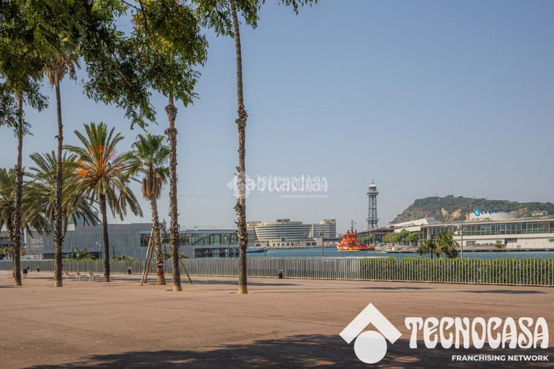 Foto 4e91ef77-0aba-4a9c-93d4-140095a9ee5a. Pis a Barceloneta Barcelona