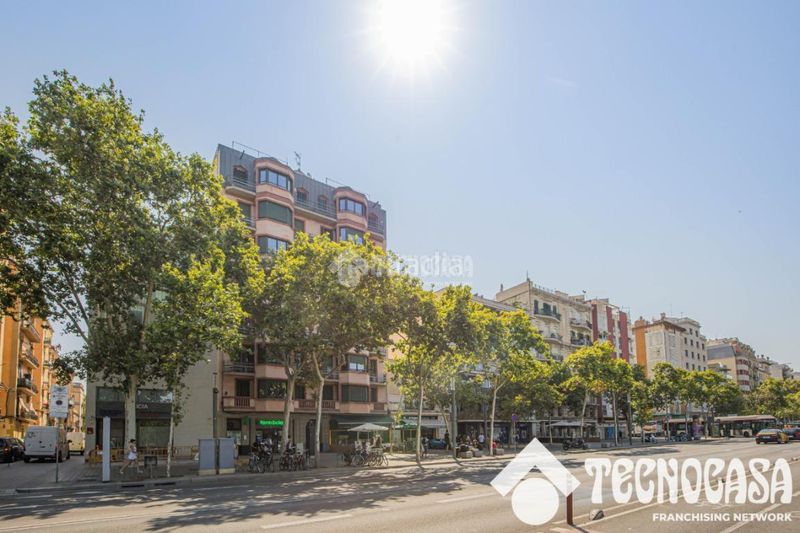 Foto a7b711ad-bcbe-4594-a578-c684b5d3ca92. Pis a Barceloneta Barcelona