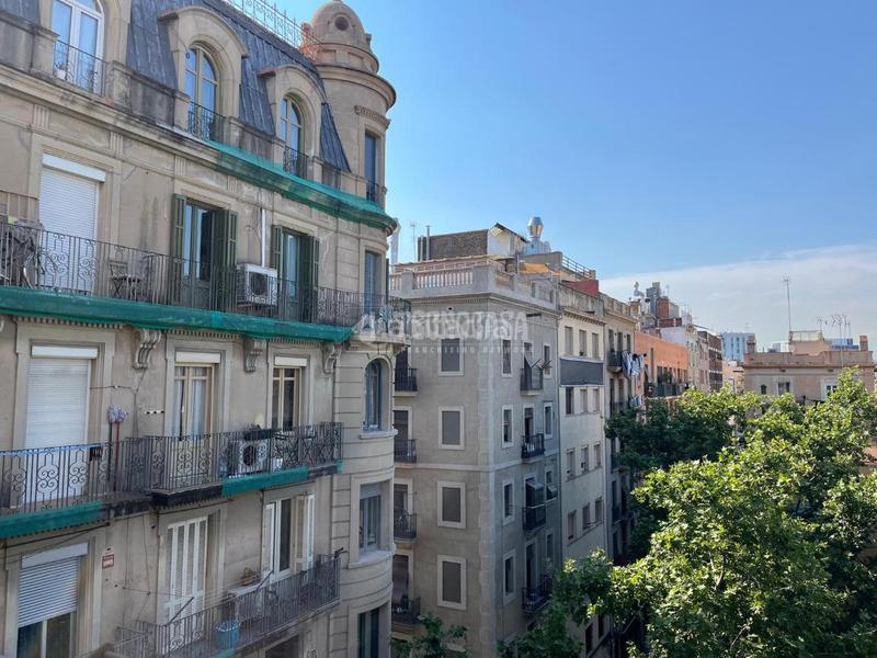 Foto 4f3b99dd-ca97-454d-9034-48826d91aa6e. Pis a Barceloneta Barcelona