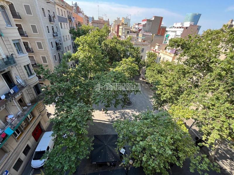 Foto b1ce829e-466b-43c8-886a-bf659196bcf6. Pis a Barceloneta Barcelona