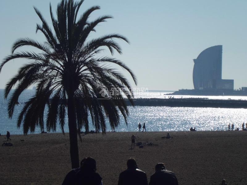 Foto 5edc4ff8-21c5-4085-80d0-95327a46bb46. Appartement dans Barceloneta Barcelona