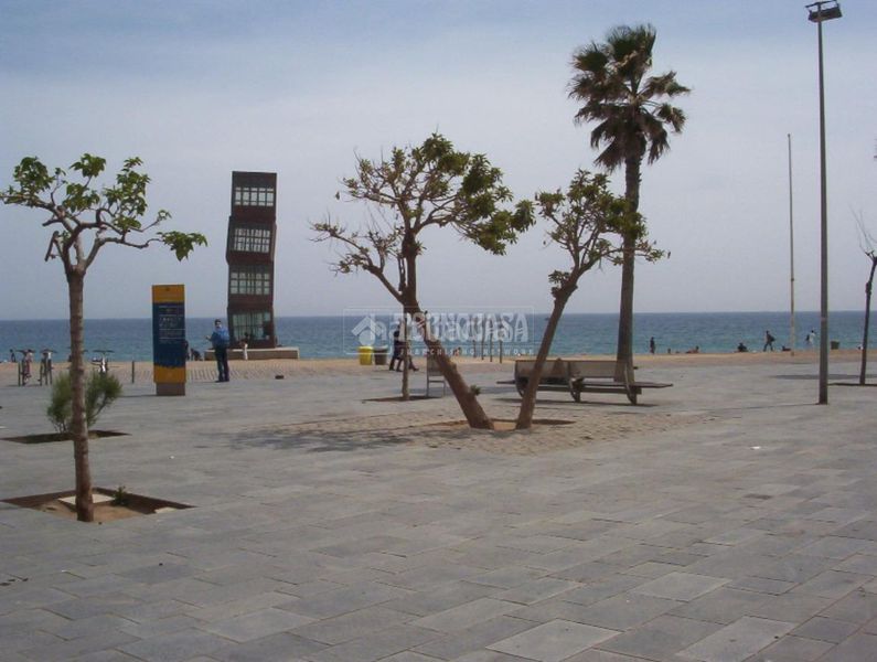 Foto b540f731-7e5d-4aea-9609-5b7a10e39289. Pis a Barceloneta Barcelona