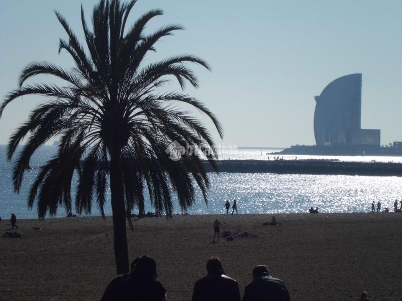 Foto 6ad0228d-44bf-400b-a252-dfb5abdbb752. Pis a Barceloneta Barcelona