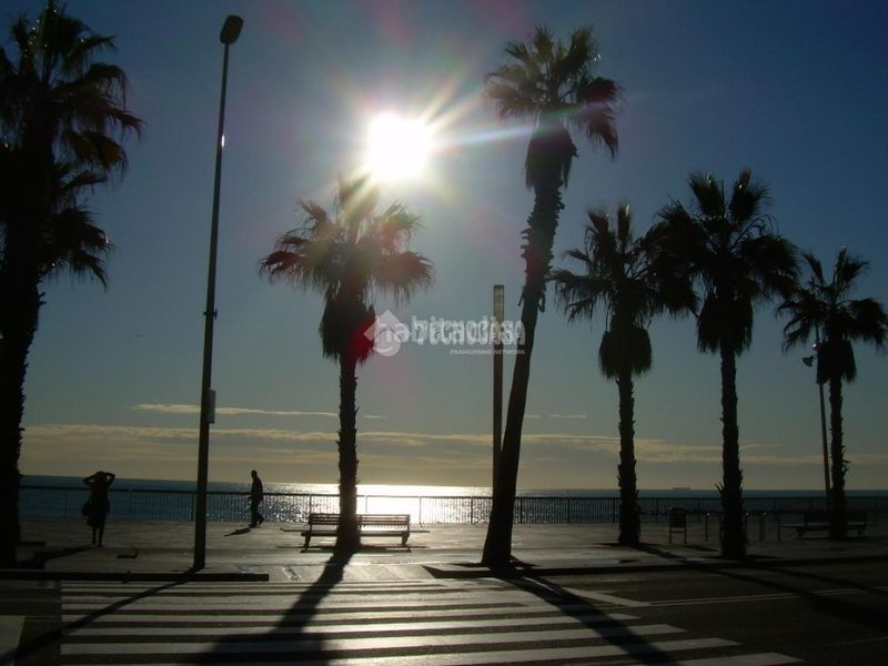 Foto 8c3dc4f5-9b02-4f68-9259-0efc48b252f2. Pis a Barceloneta Barcelona