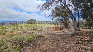 Finca rústica a San José del Álamo - El Hornillo. Terrenos en venta en teror