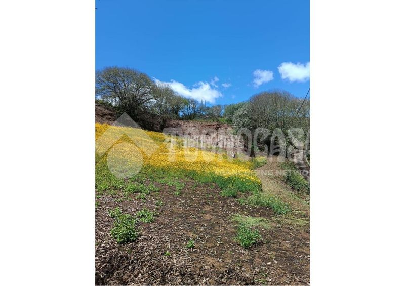 Foto 00f84264-e318-4c9c-a877-c06c573550e2. Finca rústica terrenos en venta en Moya
