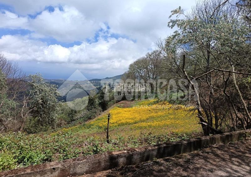 Foto 2d1f57d6-32ed-4329-9554-ead58b6f4203. Finca rústica terrenos en venta en Moya