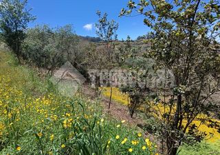 Propriété à Moya. Terrenos en venta en moya