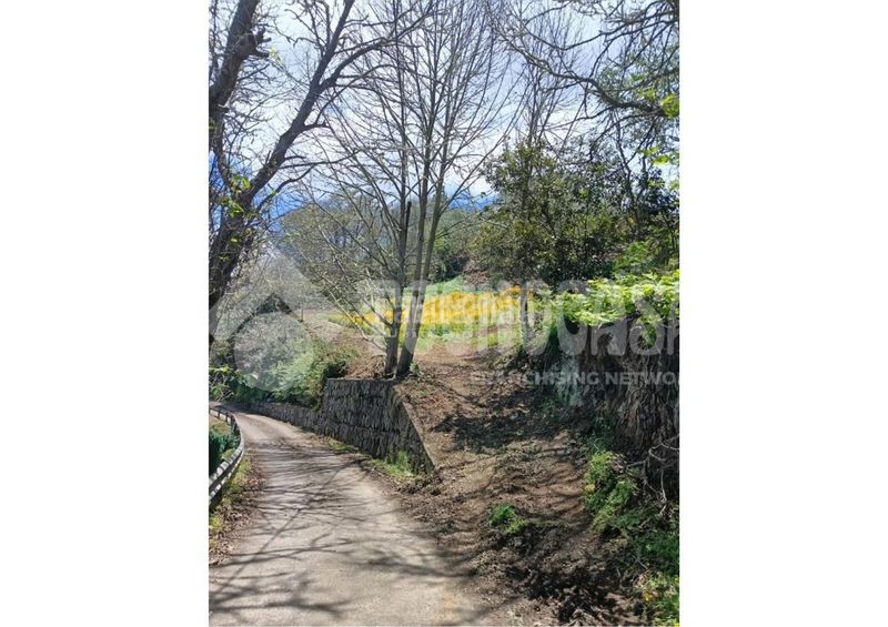 Foto 532776c4-68ba-44b6-a3c8-1a7be56f7df9. Finca rústica terrenos en venta en Moya