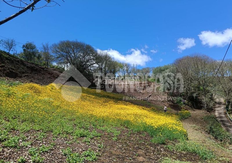 Foto 53879493-cd8f-4b4f-aa1d-2bc89d95c623. Finca rústica terrenos en venta en Moya
