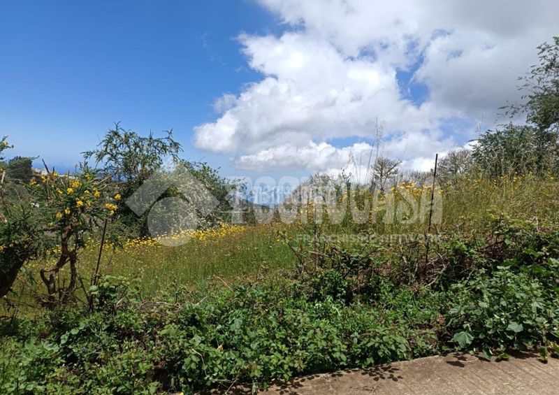 Foto 6dbaeae0-c5f6-410e-92e0-2460c5541c58. Finca rústica terrenos en venta en Moya