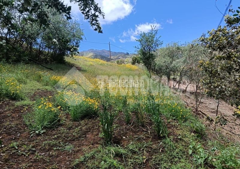 Foto 719a5134-036e-460f-89a1-17015c8c4986. Finca rústica terrenos en venta en Moya