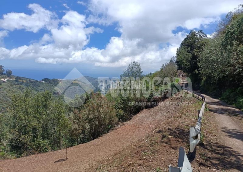 Foto 77506d1e-e4eb-45db-856e-02af7d9a55c5. Finca rústica terrenos en venta en Moya