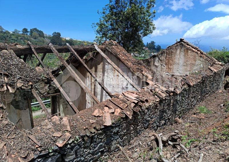 Foto 792f879f-6b9e-4674-a8c7-20d7de07b7d0. Finca rústica terrenos en venta en Moya