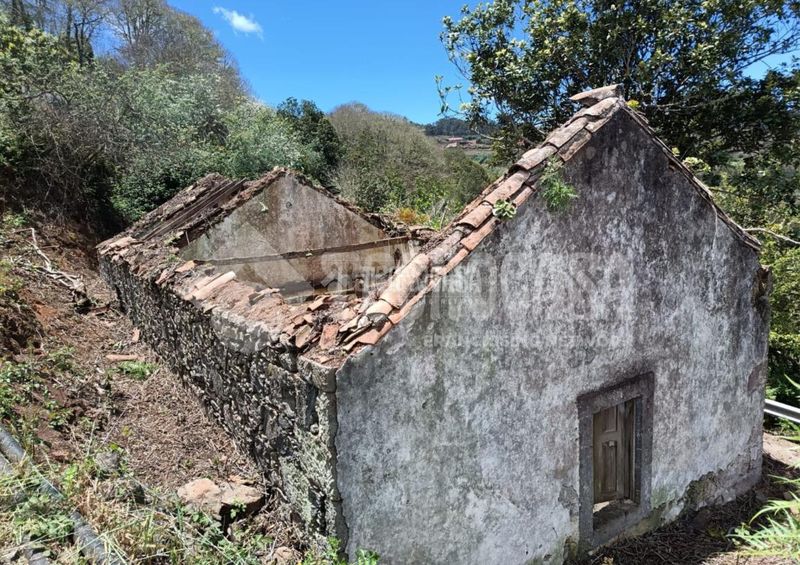 Foto 81d7a8a6-4847-46d0-8153-8ea803ade2ce. Finca rústica terrenos en venta en Moya