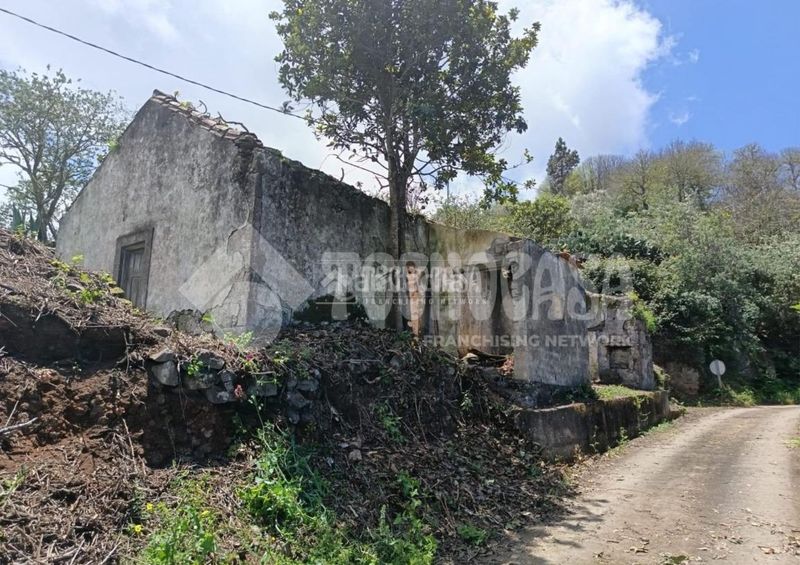 Foto a64e812f-7707-4413-a051-6e3b93669c78. Finca rústica terrenos en venta en Moya