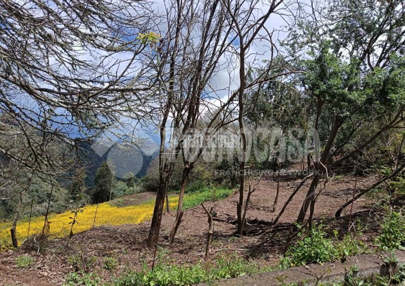 Foto a7eb2369-a64b-412e-a211-e102599f748f. Finca rústica terrenos en venta en Moya