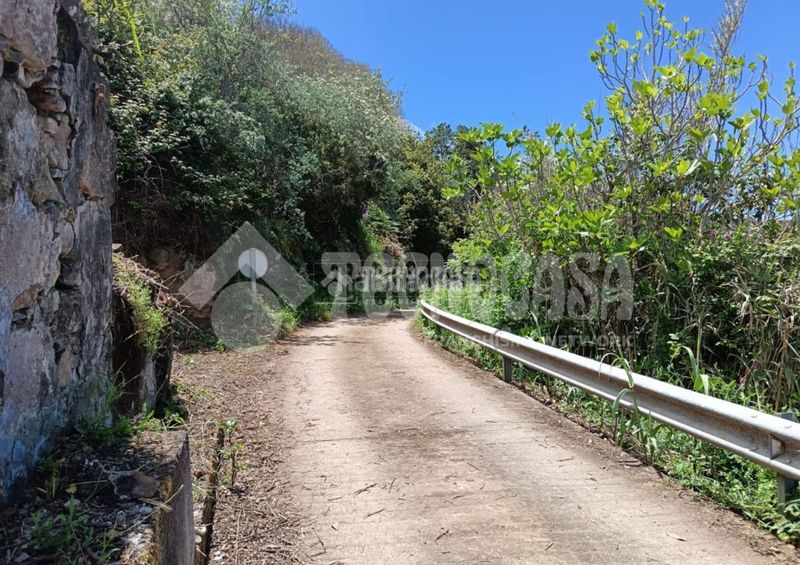 Foto f6d0822c-7c58-4de2-9c8f-a411e73fb1e7. Finca rústica terrenos en venta en Moya