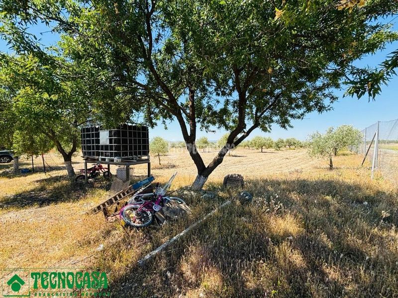 Foto 670eee92-9a39-4404-bb09-a1d7c9ac5ba8. Finca rústica a Mascaraque