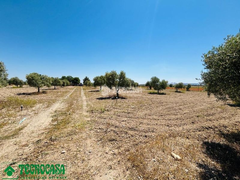 Foto bbb30b91-3518-431c-a987-7d00129fc761. Finca rústica a Mascaraque