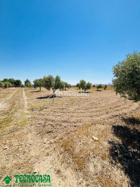 Foto cbe05c02-d9e2-4f4d-b833-34bfc73e3d85. Finca rústica a Mascaraque