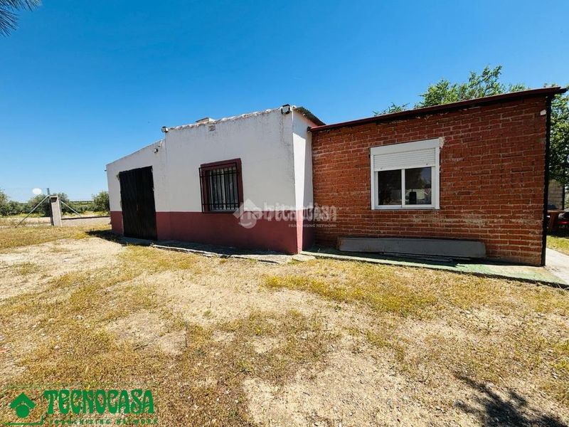 Foto d891ab52-665d-4aef-81ba-357291bcf1e9. Finca rústica a Mascaraque