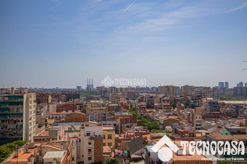 Foto ee075f3e-407b-4796-93f4-aad12295f07c. Pis a La Sagrera Barcelona