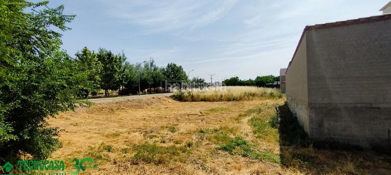 Foto 0bce193e-f5f1-4f90-8f4c-4ff45ea4c430. Terreny residencial a Mora