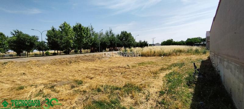 Foto 1256fa98-486b-4472-b334-285d54c9740e. Terreny residencial a Mora
