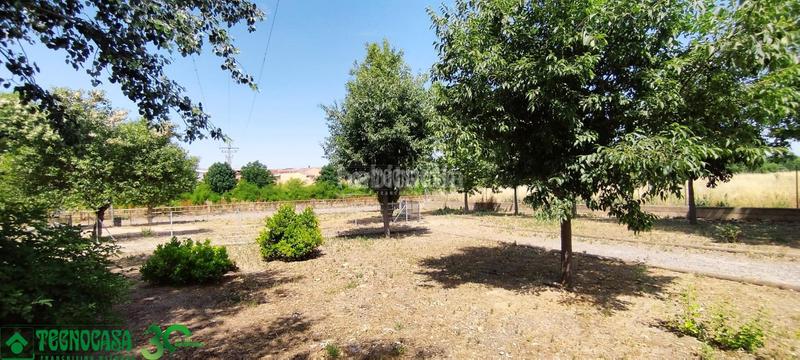 Foto 2447eaa8-c262-4abd-ba18-325a6377c819. Terreny residencial a Mora