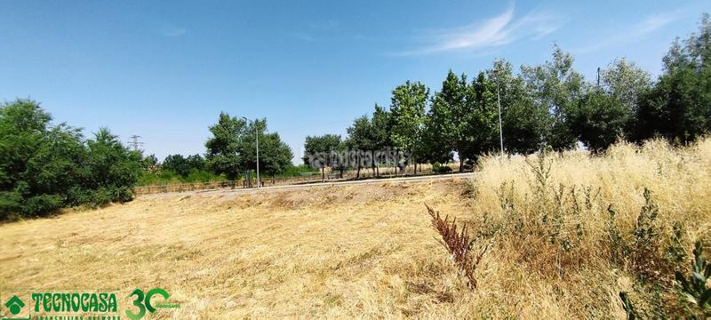 Foto 2fe2375e-b4e8-4844-88d2-80d7ccaefcef. Terreny residencial a Mora