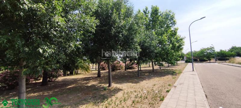 Foto 63dafb57-bb7d-41a7-a017-23fa086ce2de. Terreny residencial a Mora