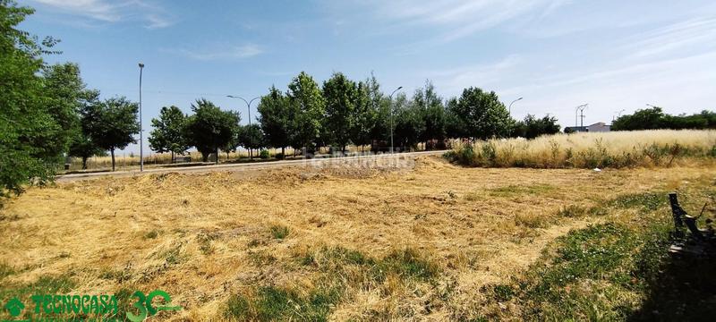 Foto 87cd6711-6d23-4a88-ba03-e540fdc980f2. Terreny residencial a Mora