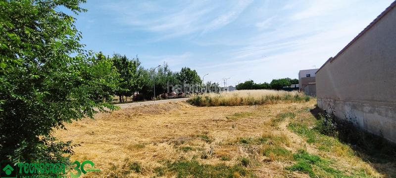 Foto db8cbcde-6ce6-4cc7-abb6-a3165a1fd3f8. Terreny residencial a Mora