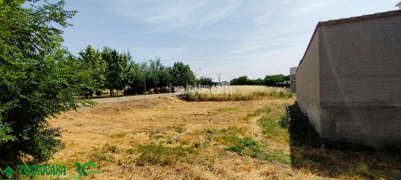 Foto fc2e68e6-a9eb-4d49-bb01-8ac3cd7046d6. Terreny residencial a Mora