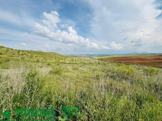 Residential Plot in Albarreal de Tajo. Terrenos en venta en albarreal de tajo
