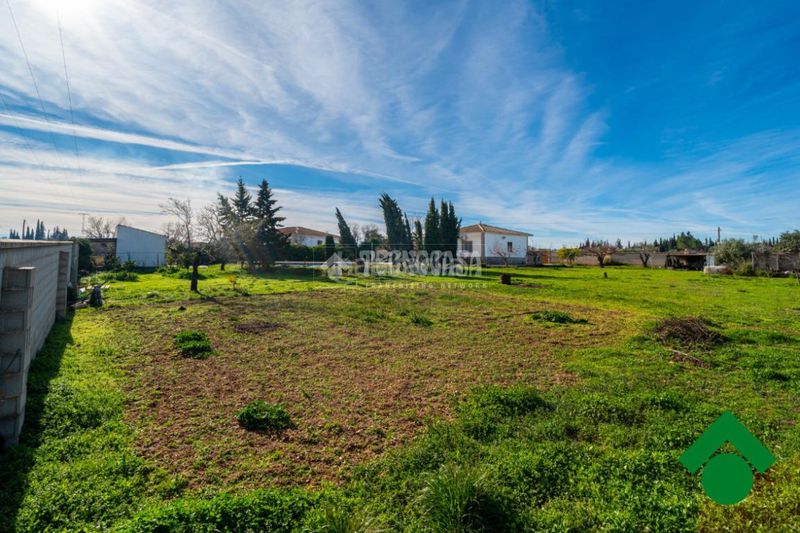 Foto adb56b3f-eb1c-464d-bb05-e1848e236e74. Casa a Moraleda de Zafayona