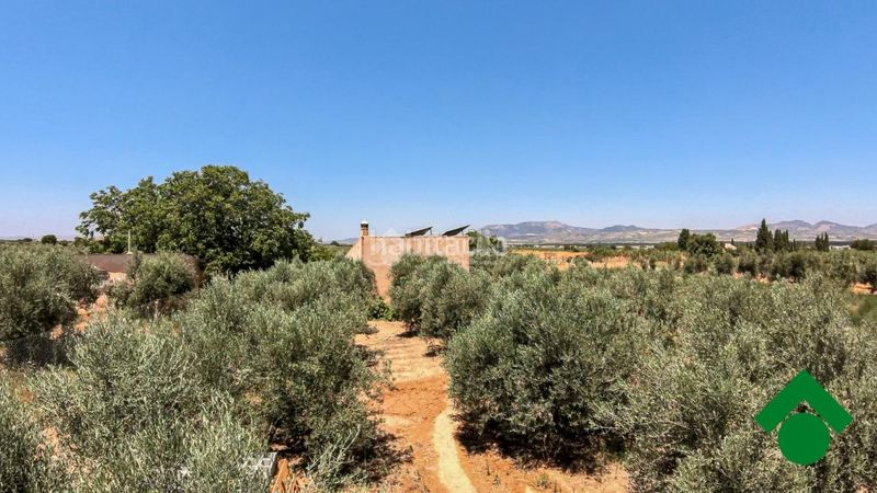 Foto 1b01fc4b-3e97-4019-b7b3-7145dd8504db. Finca rústica terrenos en venta en Santa Fe