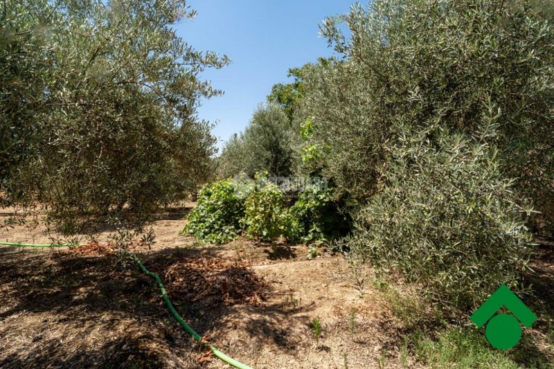 Foto 1d3c2e4d-f62c-4eb7-af40-73cf2a875aa5. Finca rústica terrenos en venta en Santa Fe
