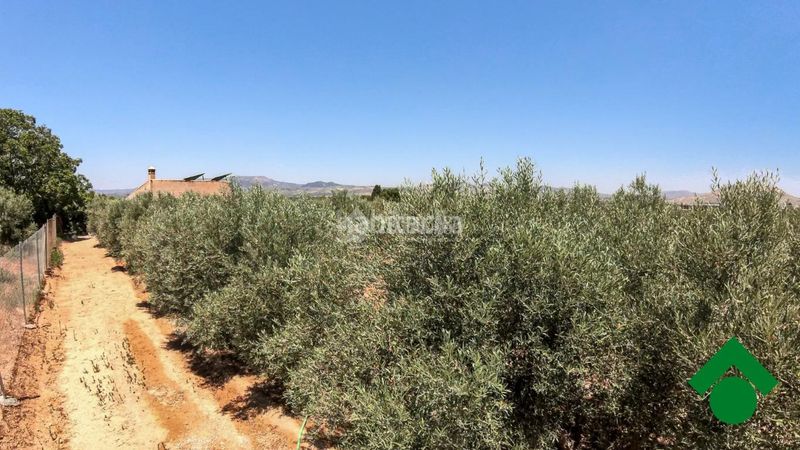 Foto 2f702fb4-abc0-4e58-8e6b-4b75f60d0d2c. Finca rústica terrenos en venta en Santa Fe