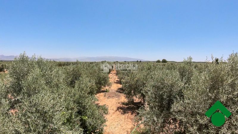 Foto 3c248b21-f48f-42ed-a216-930b24c5a9cf. Finca rústica terrenos en venta en Santa Fe