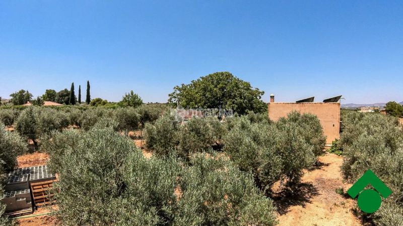 Foto 49efc399-04b6-4673-a4cd-57f64adaabfd. Finca rústica terrenos en venta en Santa Fe
