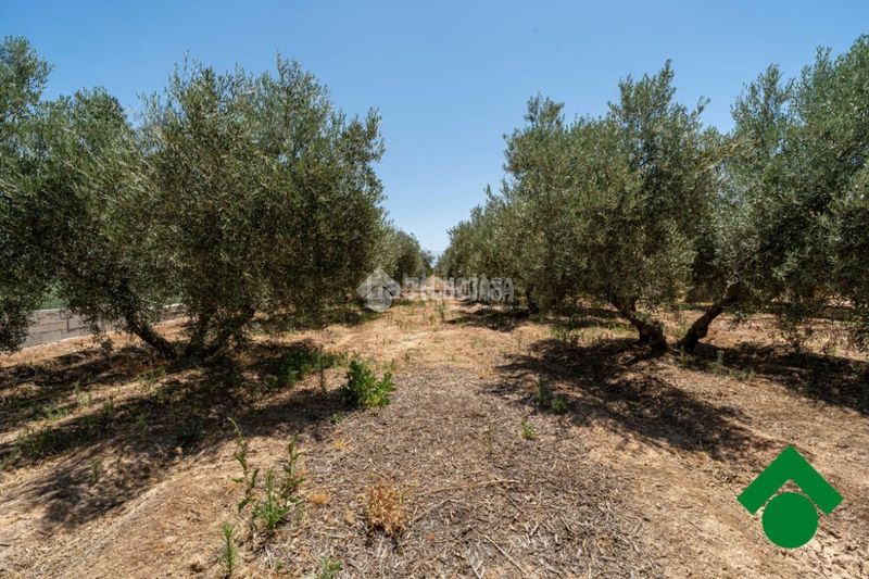 Foto 588d56fe-f9b7-43b8-8ced-b1db96b16cb6. Finca rústica terrenos en venta en Santa Fe