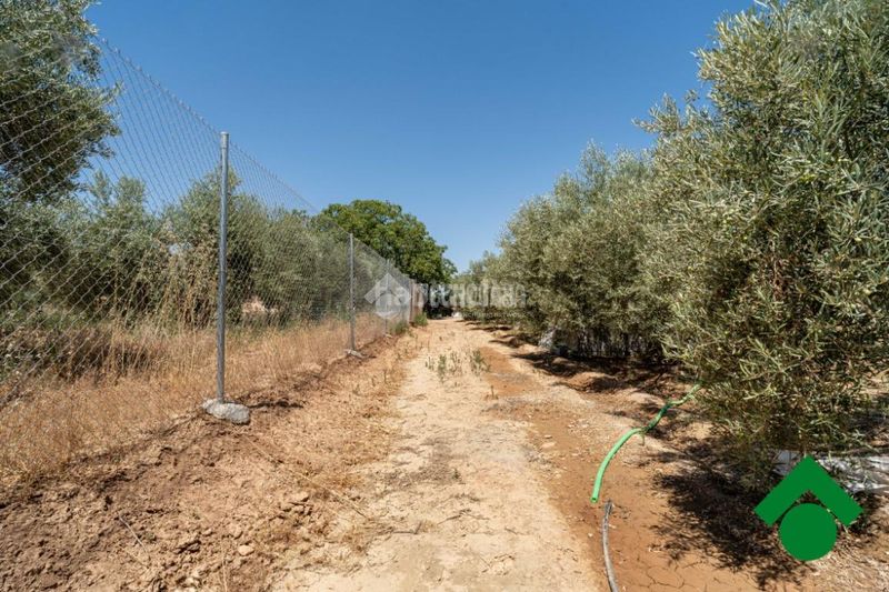 Foto 5a065175-d568-4623-80f0-7ff468070a68. Finca rústica terrenos en venta en Santa Fe